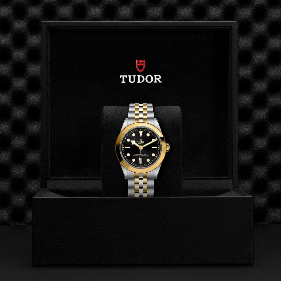 TUDOR Montre Tudor Black Bay 39 S&G Bo Tier En Acier 39 Mm, Bracelet En Acier Et Or Jaune