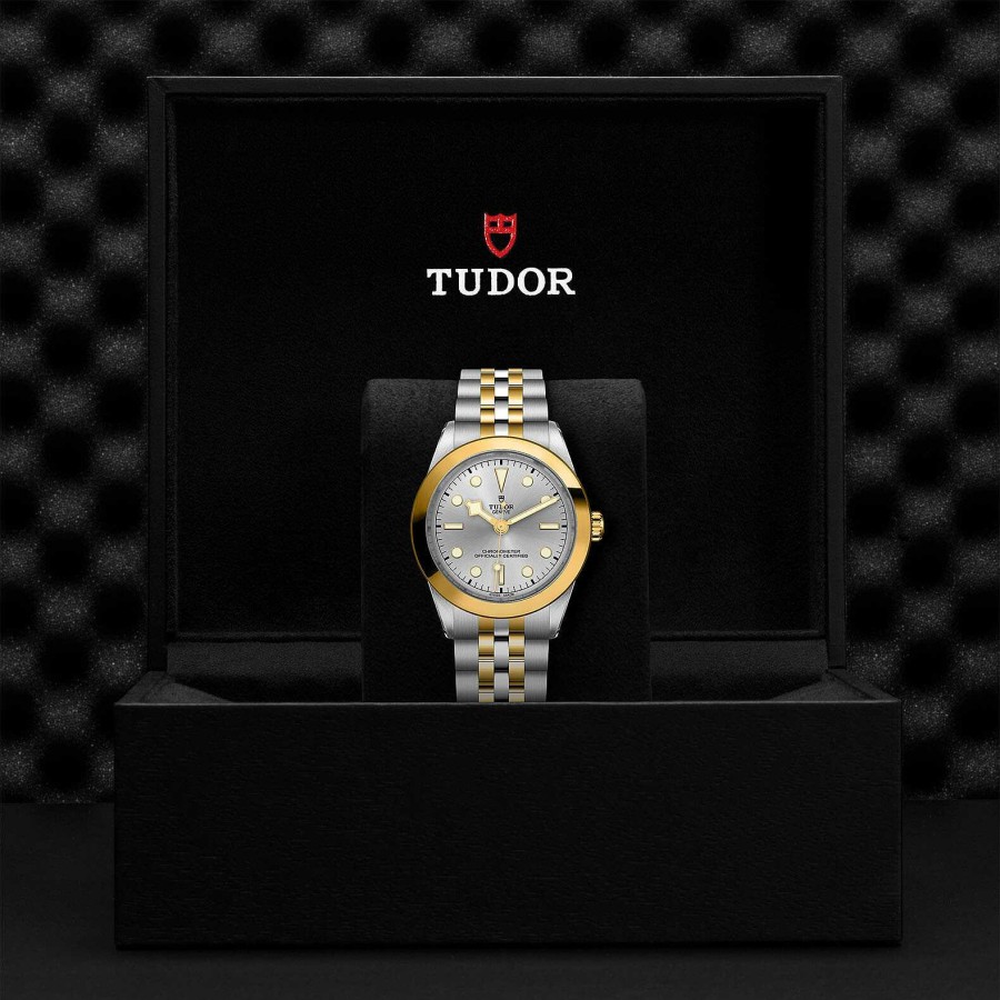 TUDOR Montre Tudor Black Bay 39 S&G Bo Tier En Acier 39 Mm, Bracelet En Acier Et Or Jaune