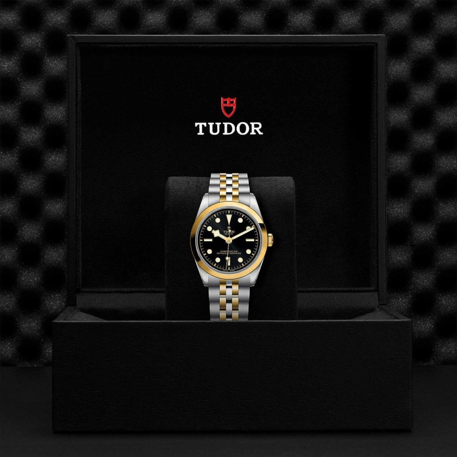 TUDOR Montre Tudor Black Bay 36 S&G Bo Tier En Acier 36 Mm, Bracelet En Acier Et Or Jaune