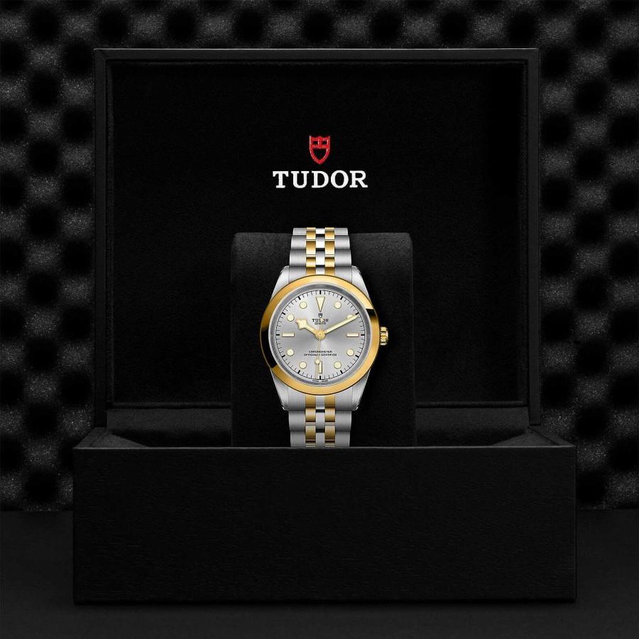 TUDOR Montre Tudor Black Bay 41 S&G Bo Tier En Acier 41 Mm, Bracelet En Acier Et Or Jaune