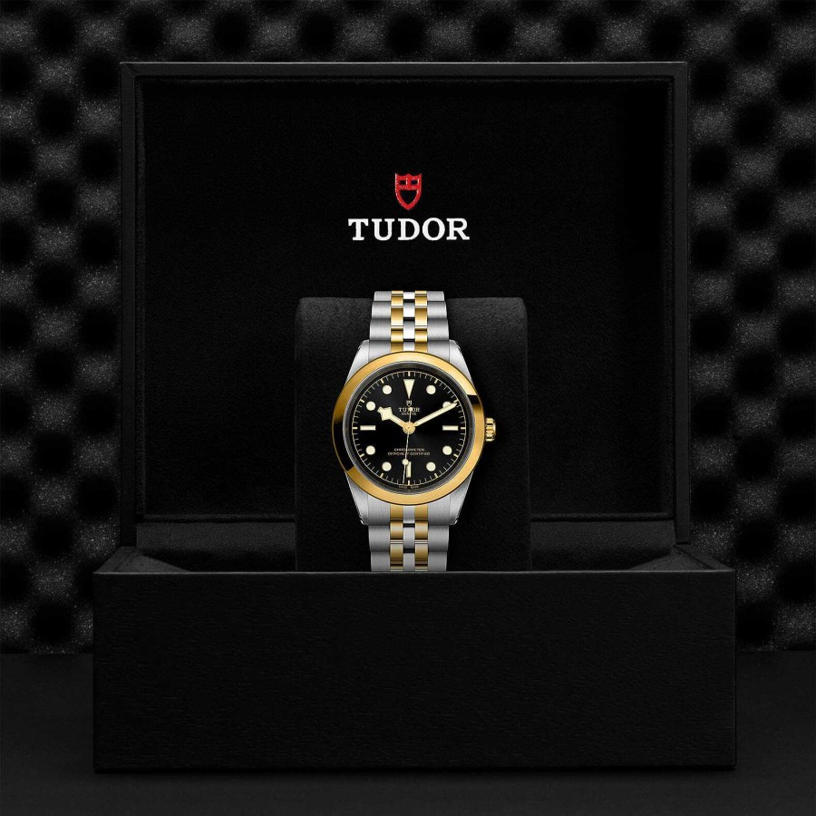 TUDOR Montre Tudor Black Bay 41 S&G Bo Tier En Acier 41 Mm, Bracelet En Acier Et Or Jaune