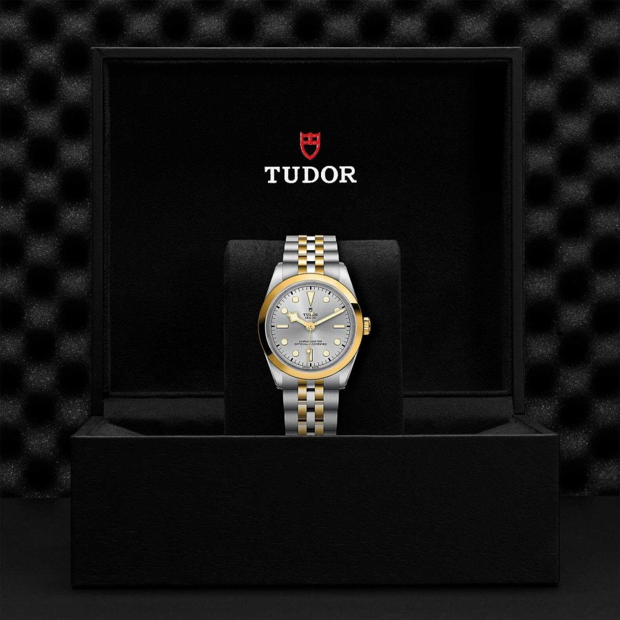 TUDOR Montre Tudor Black Bay 36 S&G Bo Tier En Acier 36 Mm, Bracelet En Acier Et Or Jaune